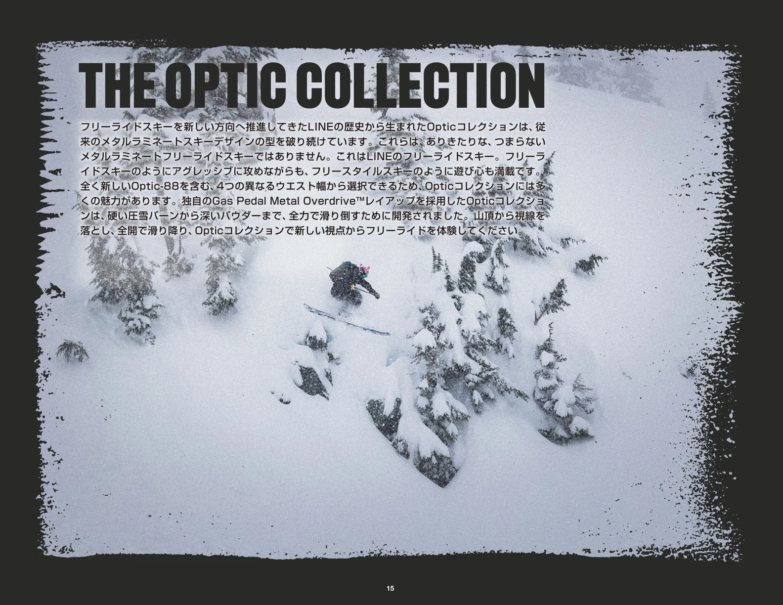 LINE公式PDF OPTIC COLLECTION章扉